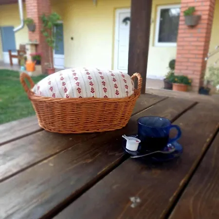 Pensionat Gyarmati Vendeghaz
